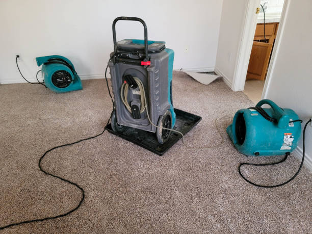 Best Flood restoration services  in Dyersburg, TN