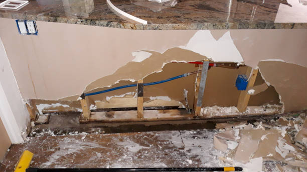 Best Commercial water damage restoration  in Dyersburg, TN