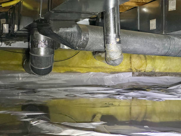 Best Basement water damage restoration  in Dyersburg, TN