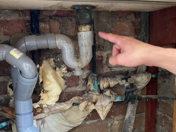 Best Flooded house restoration  in Dyersburg, TN