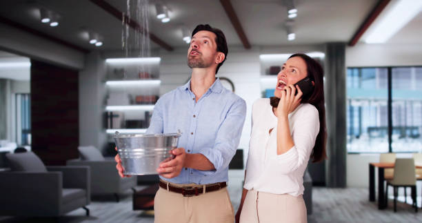 Best Flood damage cleanup  in Dyersburg, TN